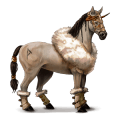 unicorn pony australian pony cremello