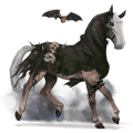 riding horse arabian horse light gray