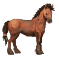 riding horse arabian horse dun