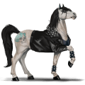 riding unicorn nokota roan