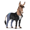 riding horse standardbred light gray