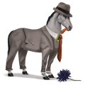riding horse thoroughbred flaxen chestnut 