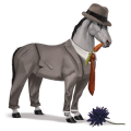 riding horse thoroughbred light gray