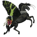 winged riding unicorn chestnut