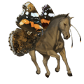 riding horse mustang roan