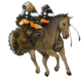 riding horse cremello