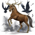 draft unicorn bay