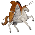 riding unicorn quarter horse chestnut