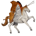 winged riding unicorn bay