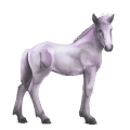 divine horse greyfell   4