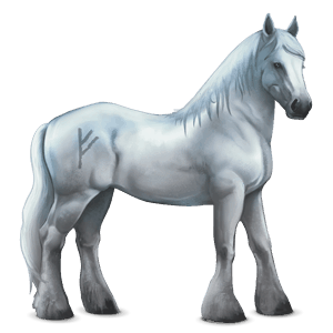 divine horse greyfell   1