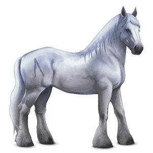 divine horse greyfell   2