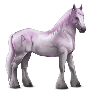 divine horse greyfell   5