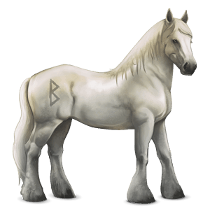 divine horse greyfell   8