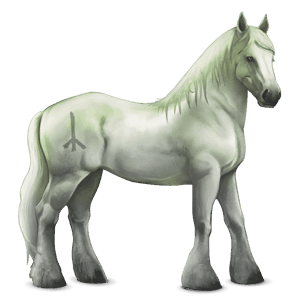 divine horse greyfell   9