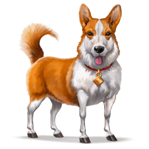 wild horse welsh corgi