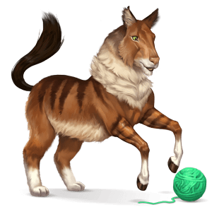 wild horse maine coon