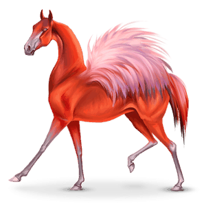 bird wandering horse phoenico