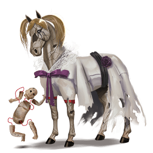 riding horse argentinean criollo cremello