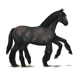 black sleipnir