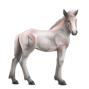 divine horse greyfell   7