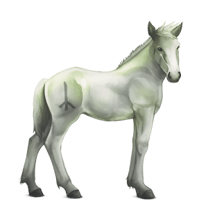 divine horse greyfell   9