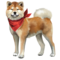 compagnon-akita-inu_v1713961017.png