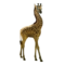 compagnon-girafe_v1713961017.png