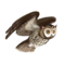 compagnon-hibou_v1713961017.png