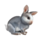 compagnon-lapin_v1713961017.png