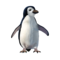 compagnon-pingouin_v1713961017.png